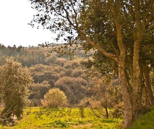 Da Colina Couette-café Bombarral